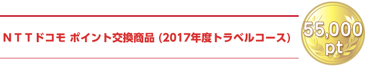 55000pt | ドコモポイント交換商品(贅沢に!こだわりの温泉旅館&シティホテル宿泊プラン(ペア)2017)